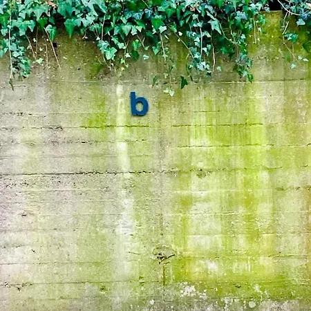 Feelslikehome - Wunderschoene Und Zentrale Mit Balkon&parkplatz Apartment *