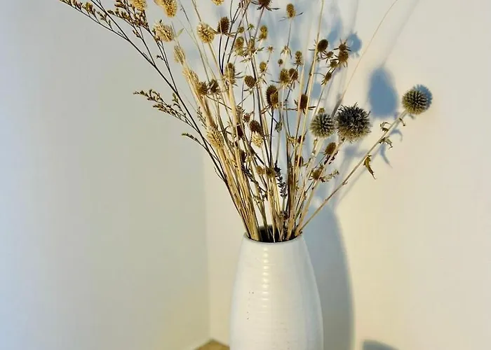 公寓 Feelslikehome - Wunderschoene Und Zentrale Mit Balkon&parkplatz